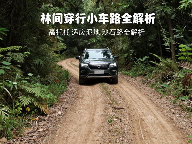 林间穿行小车怎么选？高扭矩适应泥地沙石路全解析
