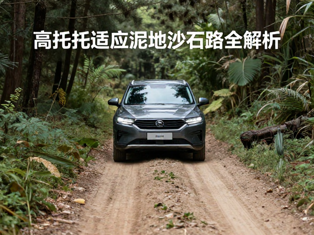 林间穿行小车怎么选？高扭矩适应泥地沙石路全解析