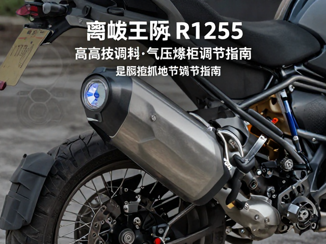 宝马R1250GS高海拔调校与气压悬挂调节指南