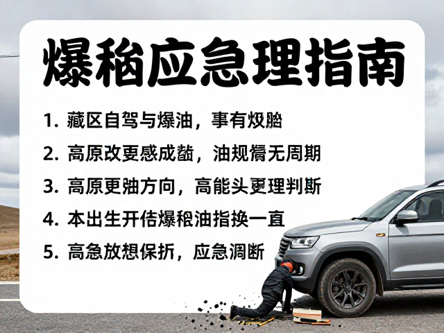 藏区自驾改装与保养,高原机油更换周期及爆胎应急处理指南