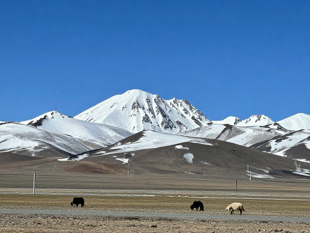 高原雪山之旅,全程风景记录与自驾攻略