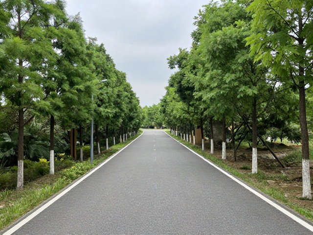 入门轻松步道,保持车距安全打卡,朋友圈分享攻略