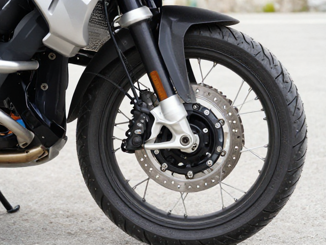 宝马R1250GS高原刹车调试，防水线束处理与性能优化指南