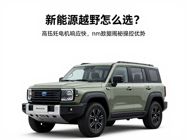 新能源越野怎么选?高扭矩电机响应快,Nm数据揭秘操控优势