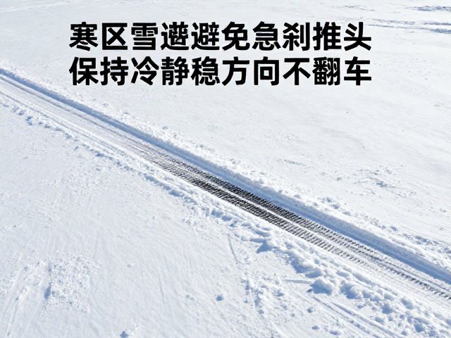 寒区雪地控车技巧,避免急刹推头,保持冷静稳方向不翻车