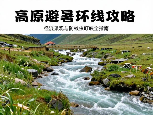 高原避暑环线攻略，径流景观与防蚊虫叮咬全指南