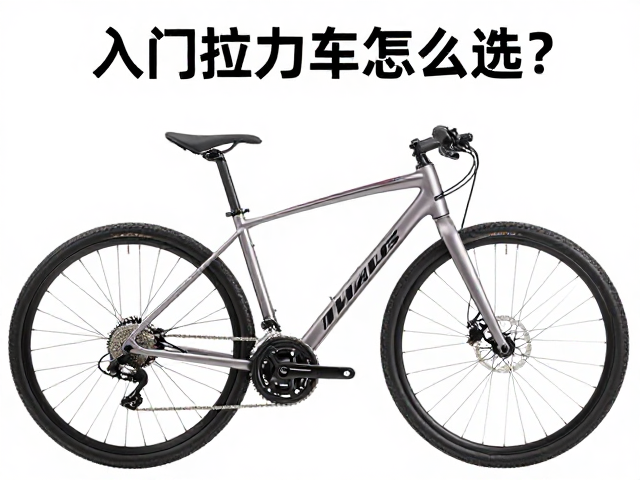 入门拉力车怎么选？二手市场单缸双缸哪款性价比高？