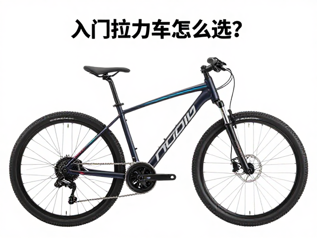 入门拉力车怎么选？二手市场单缸双缸哪款性价比高？
