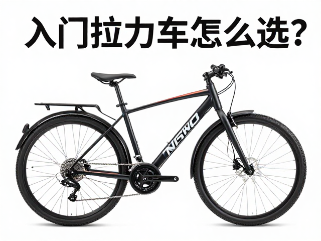 入门拉力车怎么选？二手市场单缸双缸哪款性价比高？