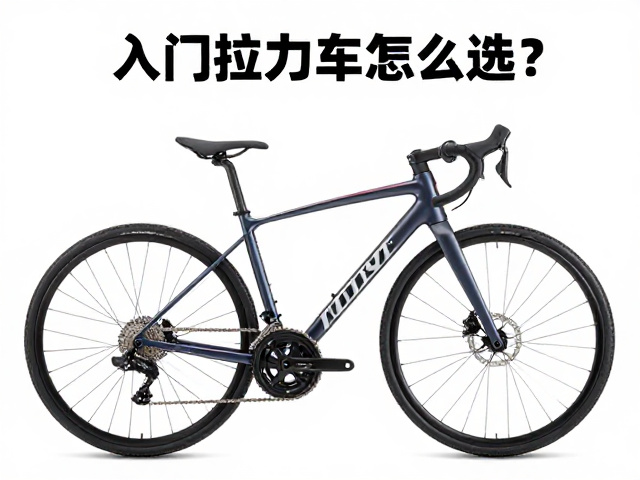入门拉力车怎么选？二手市场单缸双缸哪款性价比高？
