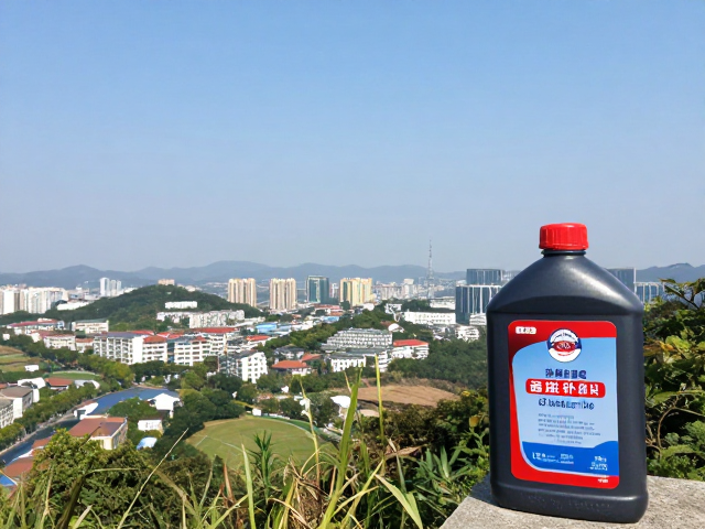 城郊观景单日往返攻略，备胎补胎液必备指南