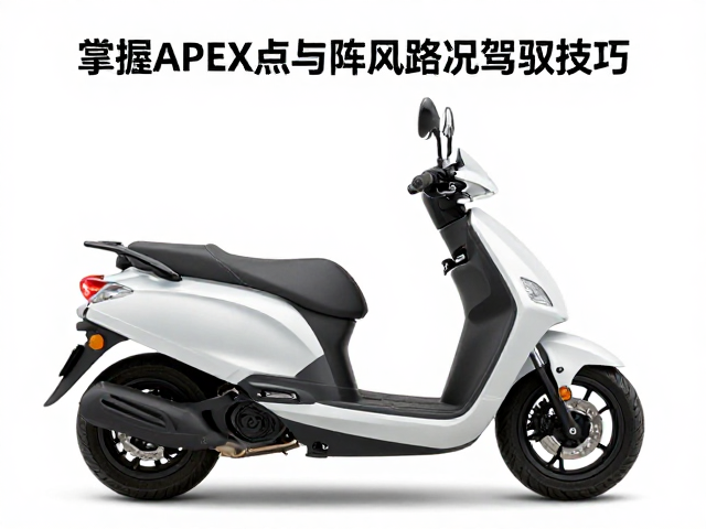 踏板车进阶指南，掌握APEX点与阵风路况驾驭技巧