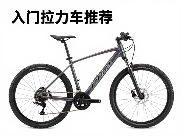 入门拉力车推荐，城市通勤兼顾轻越野，适应多种路况