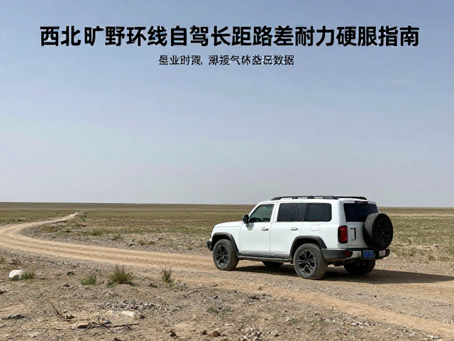 西北旷野环线自驾，应对昼夜温差与长距离耐力驾驶的硬核指南