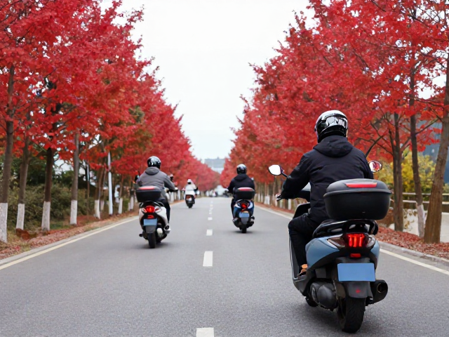 红叶季骑行攻略，大排量踏板跟车距离与城市周边游指南