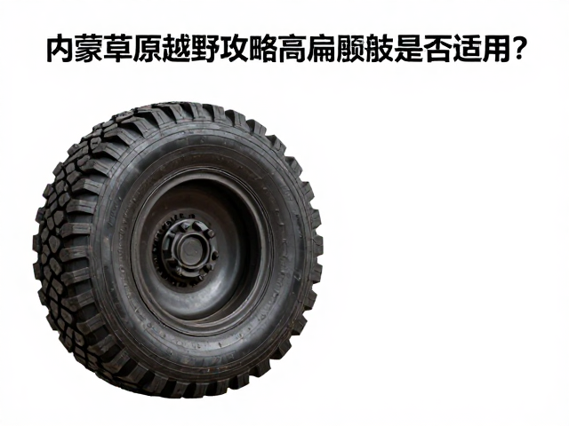 内蒙草原越野攻略，高扁平率轮胎是否适用？指数解读与路线推荐