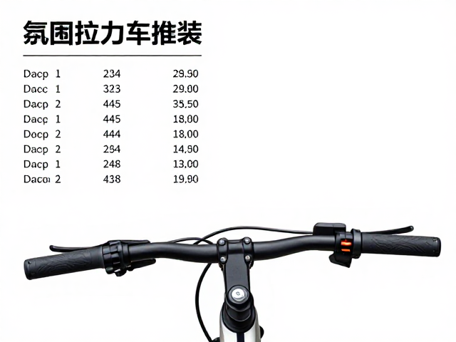 入门拉力车推荐，LCD液晶仪表，低维修成本，新手高性价比之选