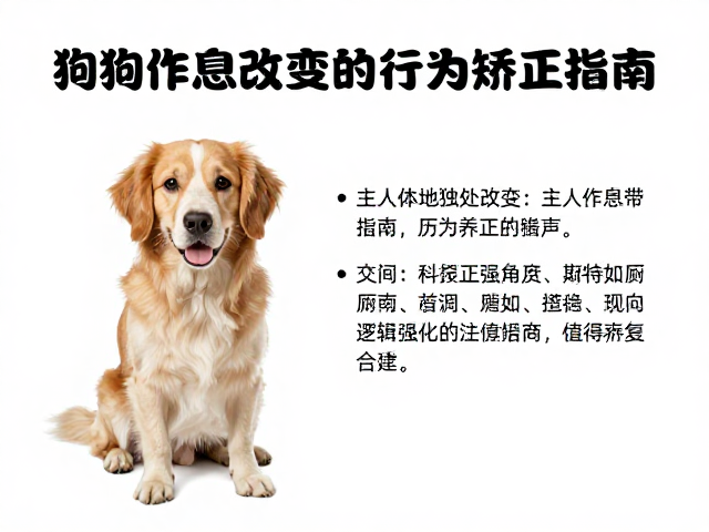 科学干预:正向强化与如厕逻辑重建