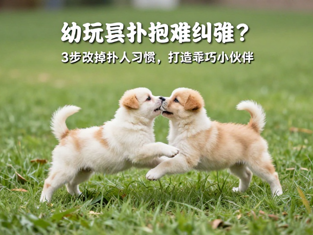 管理环境与强化正向习惯