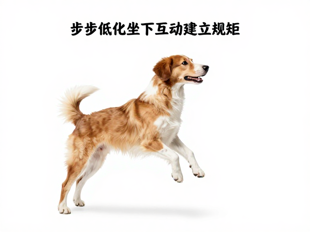 第二步：强化&ldquo;坐下等待&rdquo;的正确场景