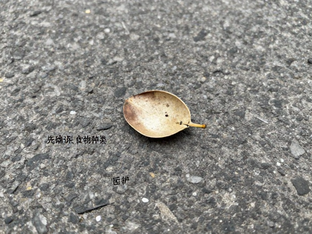 路边捡拾异物？先确认误食物种类，门口等待训练防中毒