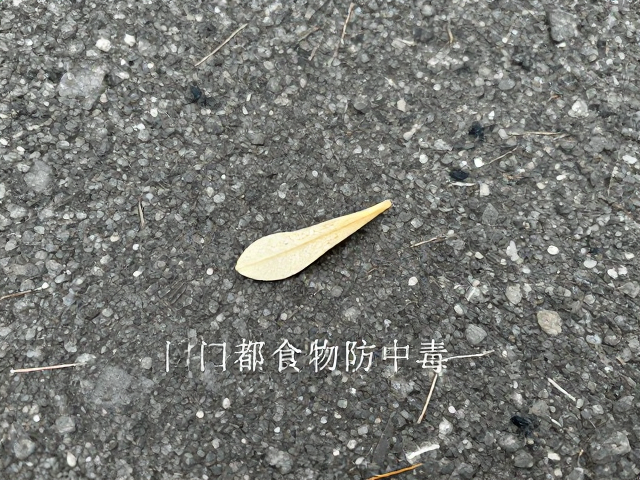 预防中毒与日常防护