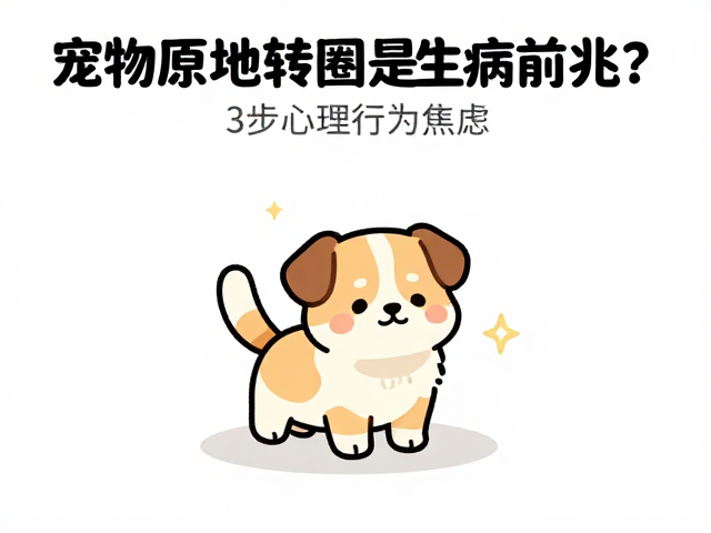 宠物原地转圈是生病前兆？3步心理调适法，告别重复行为焦虑