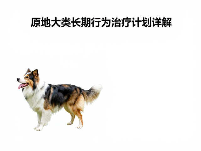 构建多维度的行为评估与诊断路径