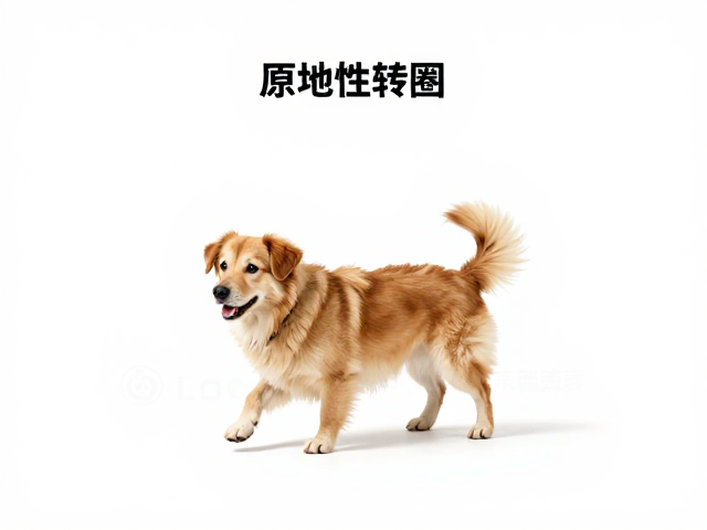 行为背后的心理机制与强迫性障碍