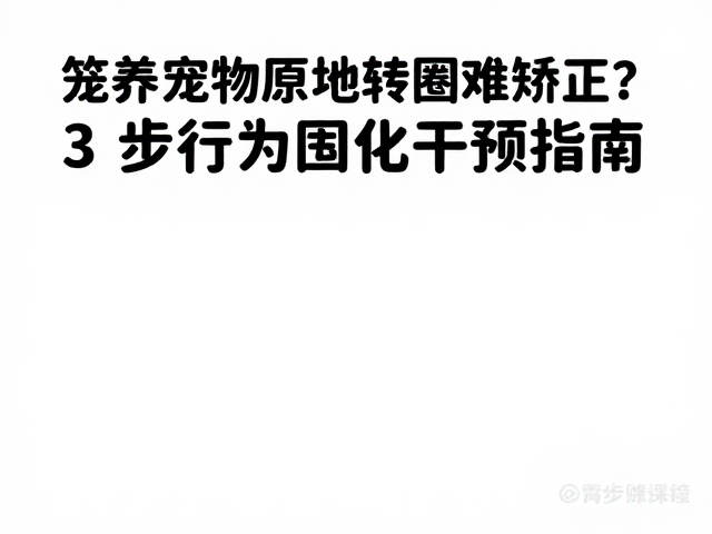 正向强化与替代行为的训练实施