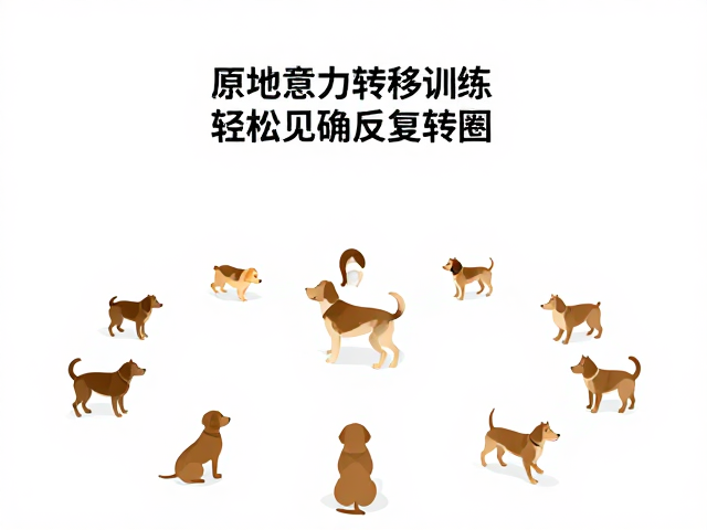 应对顽固行为与潜在健康隐患