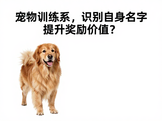 优化训练场景中的干扰排除与专注度