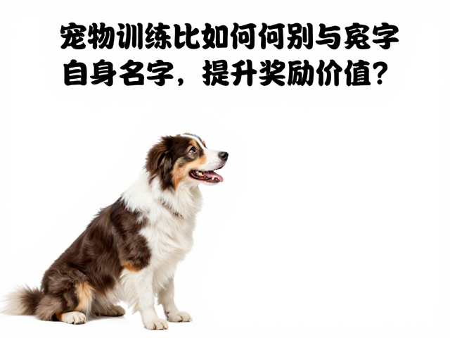 精准捕捉微表情与肢体语言的反馈