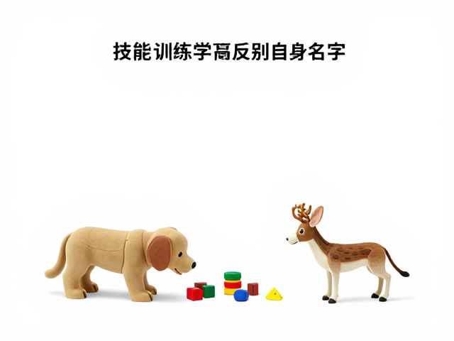 玩具奖励在条件反射建立中的具体应用
