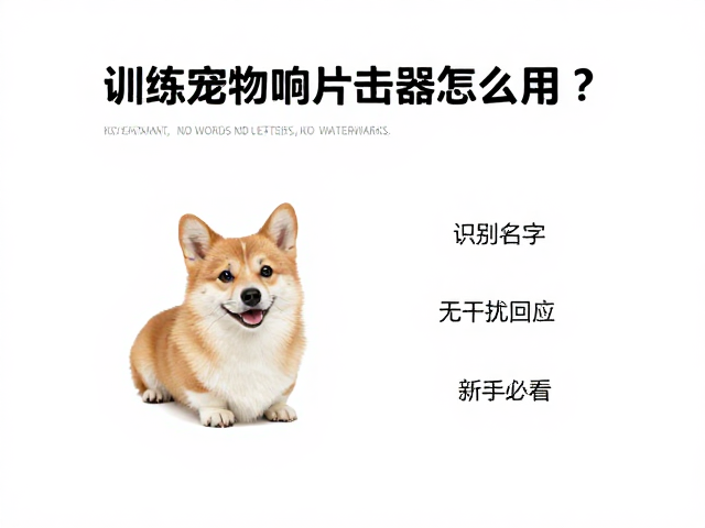 训练宠物响片点击器怎么用?识别名字,无干扰回应,新手必看