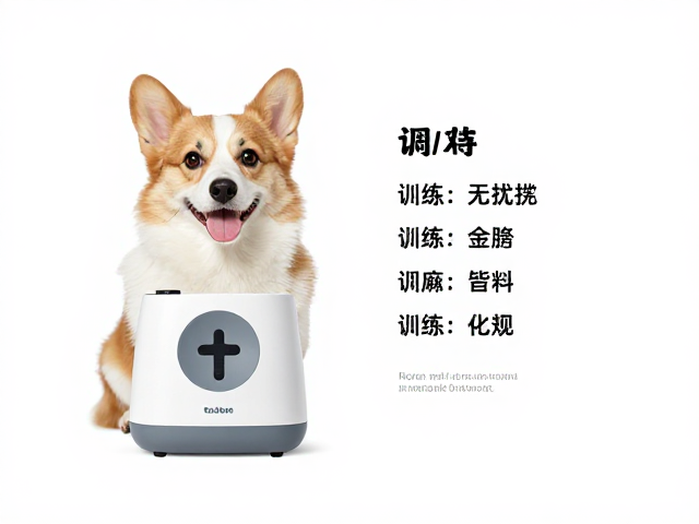识别名字
