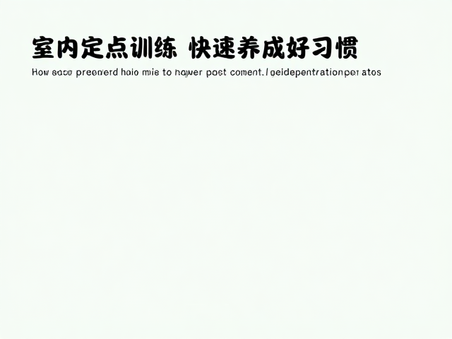 突发状况应对与习惯固化