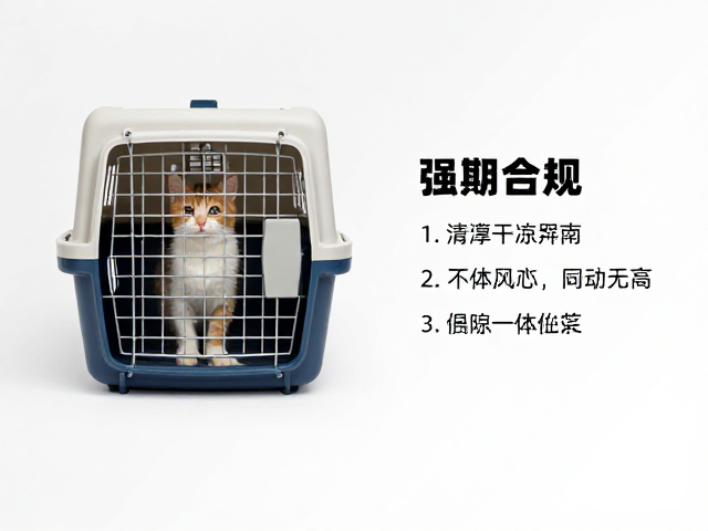 宠物室内定点如厕技巧,结合笼内与围栏训练,科学使用航空箱