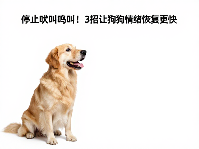 利用正向反馈重塑行为