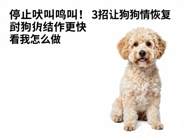建立可预测的日常规律