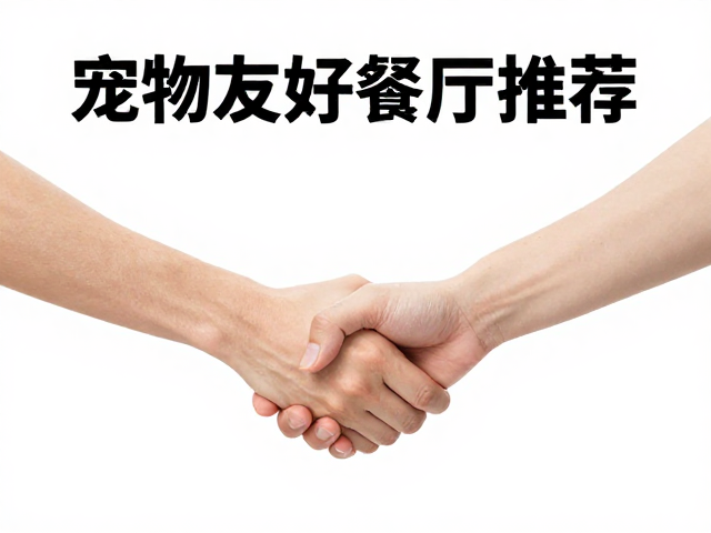 礼貌握手互动的场景化引导