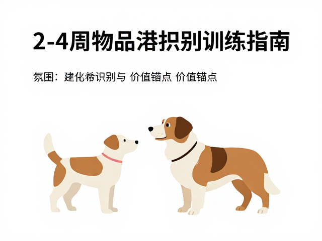 建立物品识别与价值锚点