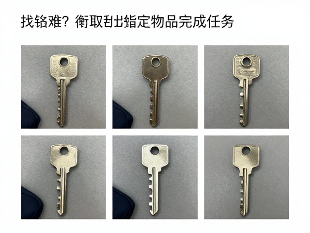 找钥匙难?衔取指定物品完成任务,轻松解锁高效取物攻略