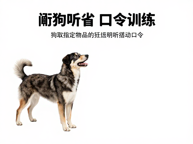 环境梯度法应对新场景干扰