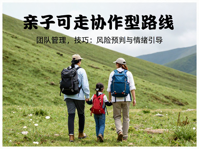 团队管理技巧:风险预判与情绪引导