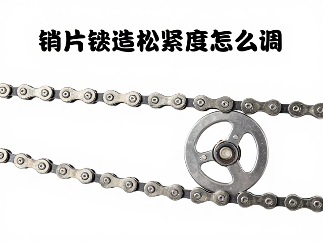自行车链条松紧度怎么调？锁片更换与链条油保养全攻略