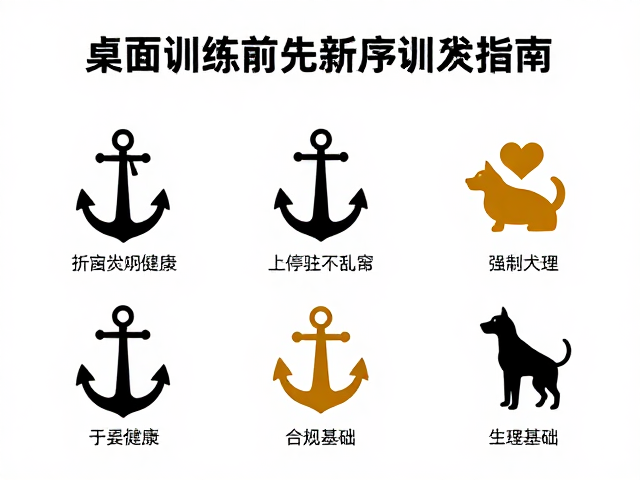桌面训练前先观健康,上手停驻不乱窜,新手训犬指南