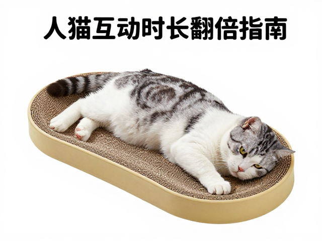 猫爪板定点磨爪,夜间跑酷管理,人猫互动时长翻倍指南
