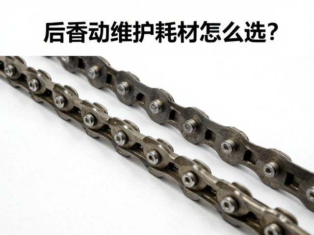 后传动维护耗材怎么选?链条油与链节保养全攻略