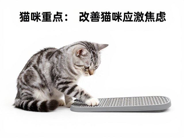 猫爪板定点磨爪,梳毛适应训练,改善猫咪应激焦虑